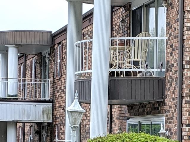 1050 Nelson Avenue - Photo 1