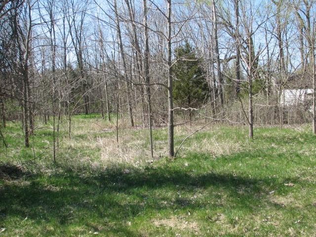 22031 Spruce Drive - Photo 1