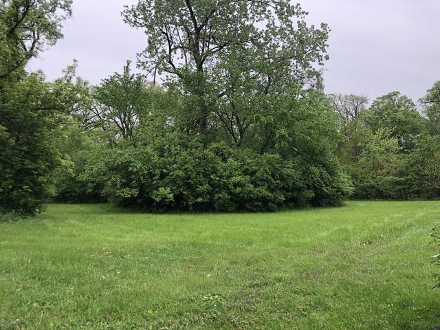 1000 Cambridge Avenue - Photo 1