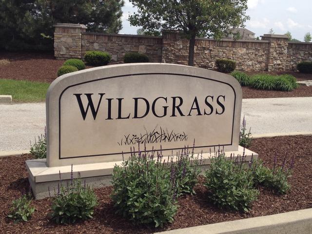 26815 Wildgrass Turn - Photo 1
