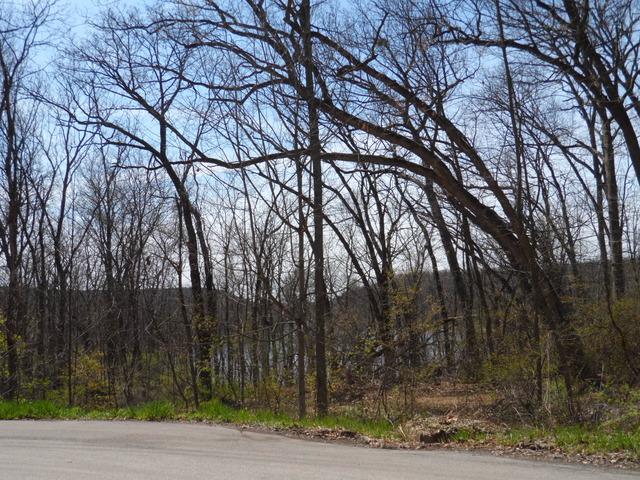000 Chinquapin Drive - Photo 1