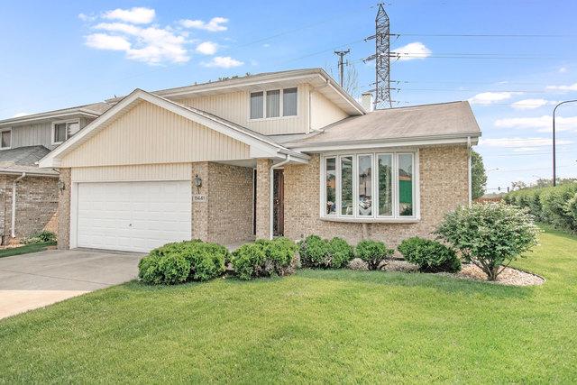 11441 Lamon Avenue - Photo 1