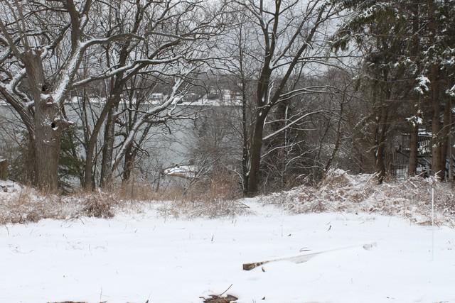226 Shore Drive - Photo 1