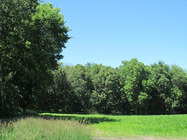 000 Holly Road - Photo 1