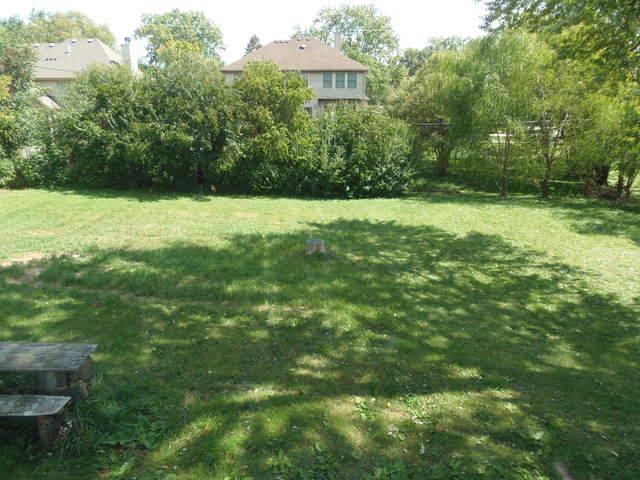 539 Plum Grove Road - Photo 1