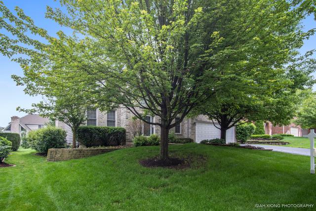 988 Black Walnut Drive - Photo 1