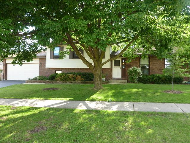 736 Ute Lane - Photo 1