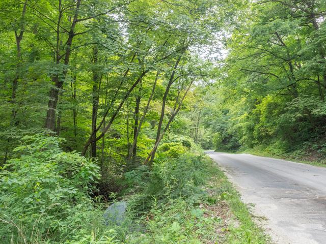 LOT 1 2625TH Road - Photo 1