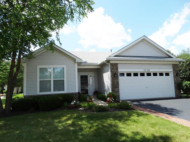 1538 Benzie Circle - Photo 1