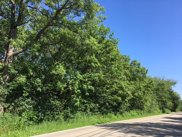 81 Ridge Road - Photo 1