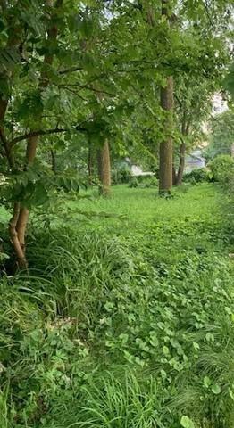 0 Pleasant Place - Photo 1