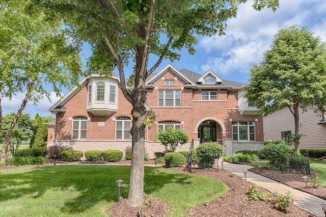 1229 Bush Boulevard - Photo 1