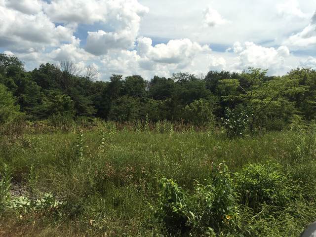 Lot 5 675th Avenue - Photo 1