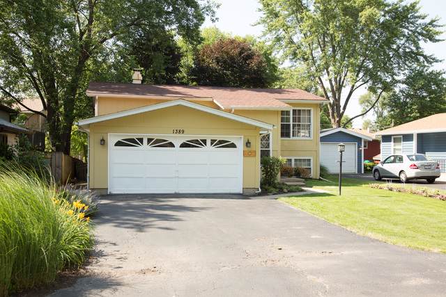 1389 Floresta Vista - Photo 1