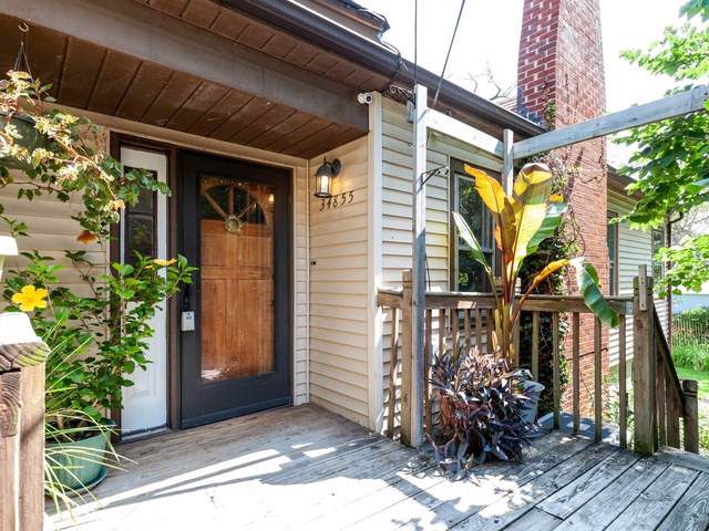 34855 James Avenue - Photo 1