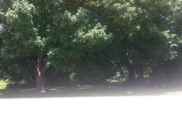 0 Jericho Road - Photo 1
