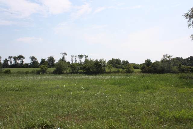 11087 Frances Lane - Photo 1