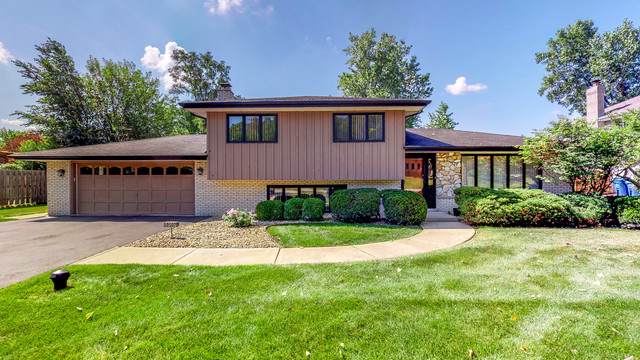 10507 Bernice Drive - Photo 1