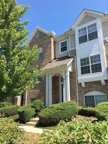8603 Waukegan Road - Photo 1