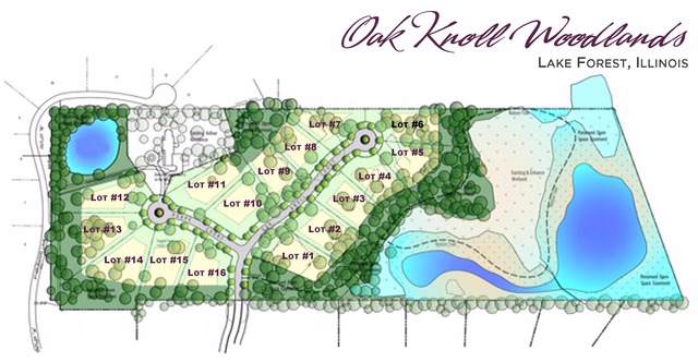 410 Oak Knoll Drive - Photo 1