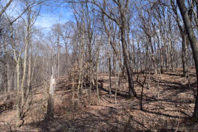 0000 Riverview Road - Photo 1