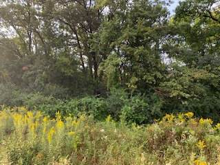 0 Valley Hill Road - Photo 1