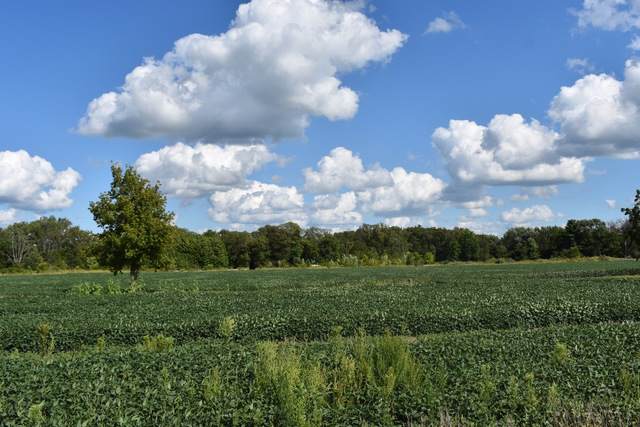 Lot 6 Twin Creeks Road - Photo 1