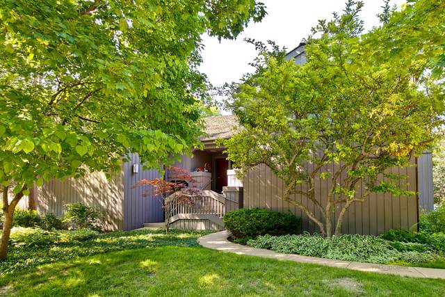 25B Shoreline Road - Photo 1