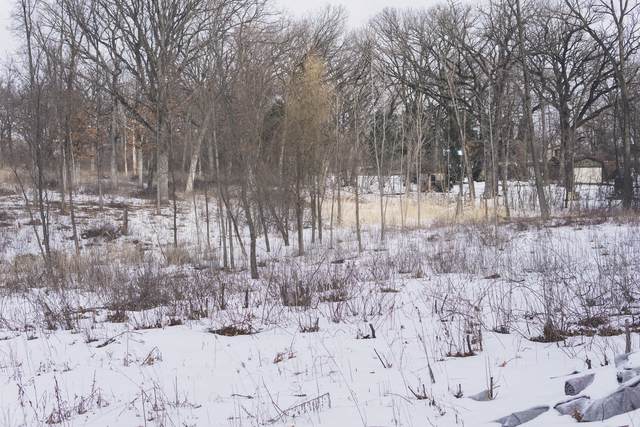 Lot A Ridge Avenue - Photo 1