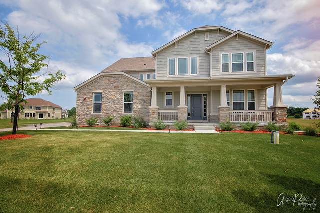 24341 N Blue Aster Lane - Photo 1