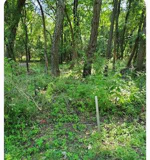 16-15 Woodhaven Lakes - Photo 1