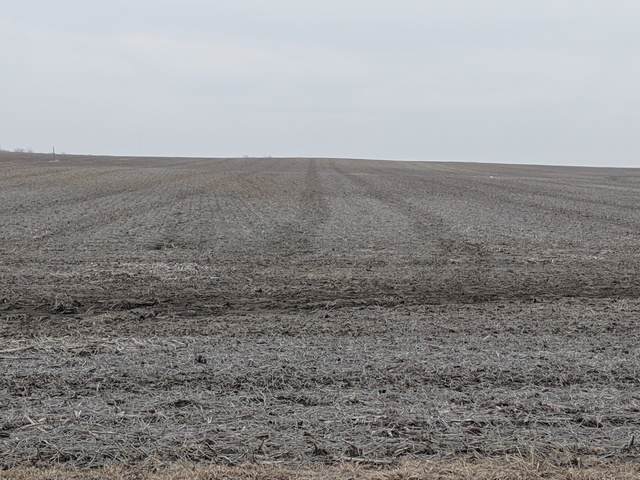 0 S Western Avenue - Photo 1