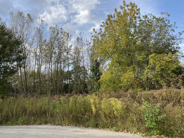 6202 Balsam Court - Photo 1