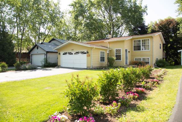 1389 Floresta Vista - Photo 1
