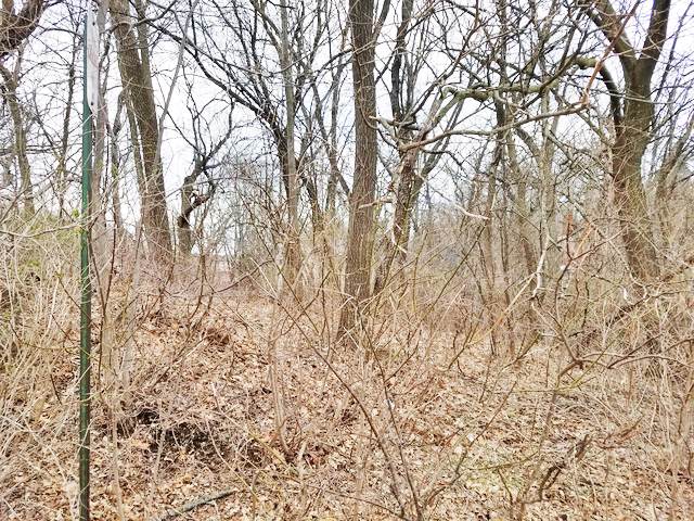 Lot 14 North Shore Drive - Photo 1