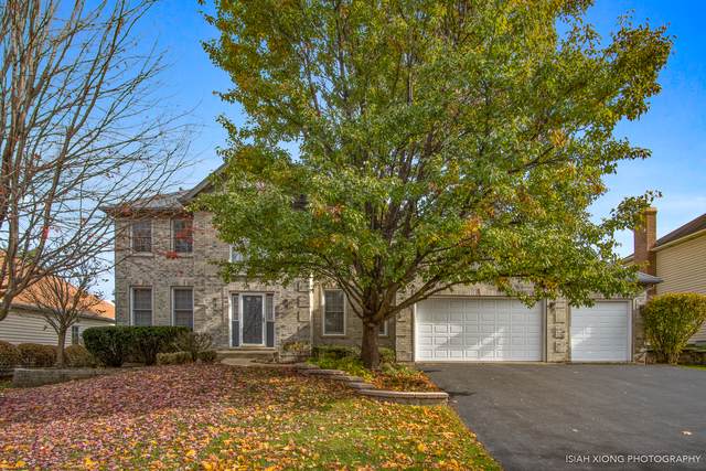 988 Black Walnut Drive - Photo 1