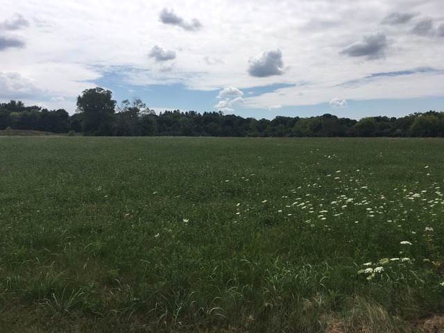 LOT 4 Peraino Circle - Photo 1