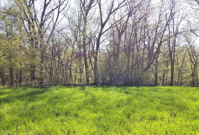 Lot 768 Lake Wildwood Drive - Photo 1