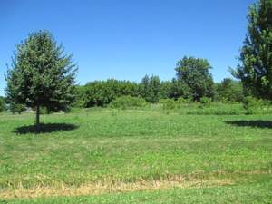 23818 Reindeer Trail - Photo 1 23818 Reindeer Trail - Photo 1