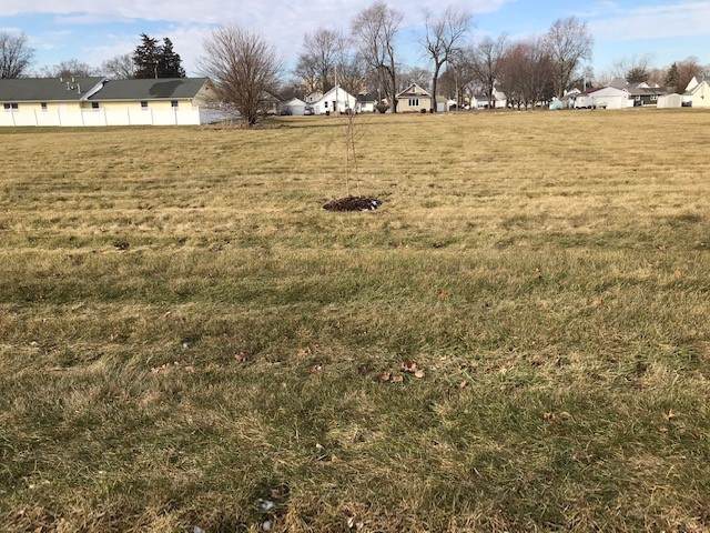Lot F Ave C - Photo 1