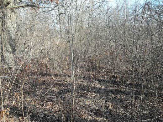 8905 126th Street - Photo 1