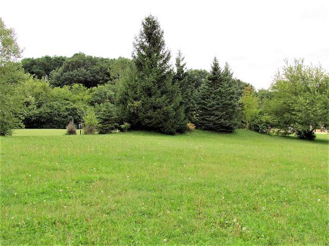 39699 Orchard Bluff Lane - Photo 1 39699 Orchard Bluff Lane - Photo 1