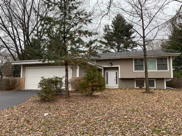 413 Tupelo Drive - Photo 1