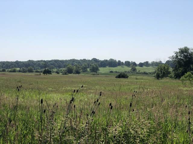 600 Berron Lane - Photo 1
