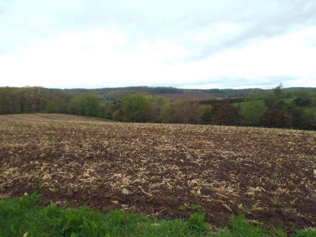 Lot 2 Clark Lane - Photo 1