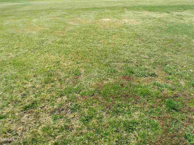 Lot 11 Meadows Ridge Lane - Photo 1