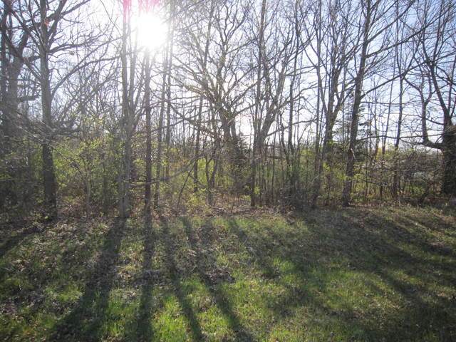 Lot 296 Avenue - Photo 1