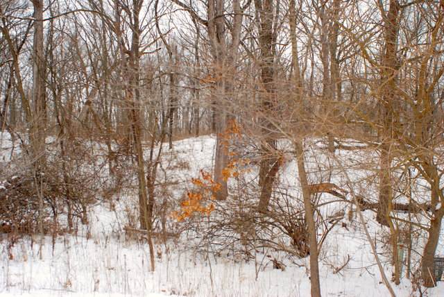 Lot 13/14 Sangamon Lane - Photo 1