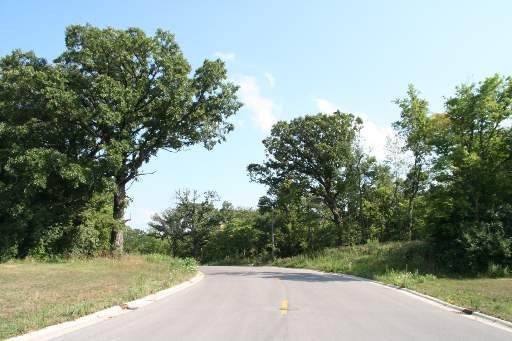 LOT#11 Oak Grove Court - Photo 1