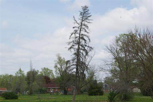 5168 Mccurry Road - Photo 1
